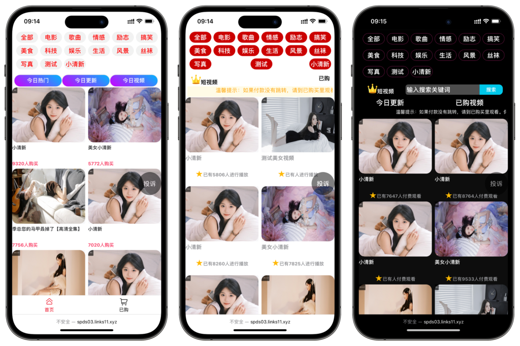 付费视频/打赏系统/影视付费/知识付费/色站插图2