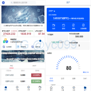 运营版USDT/BTC虚拟币微交易系统微盘,外汇期货数字货币伪交易所