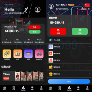 多语言TIKTOK刷单/海外TIKTOK抢单刷单/叠加组/打针