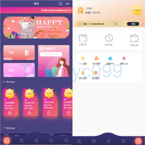 抢单系统/海外抢单刷单/分组杀/连单控