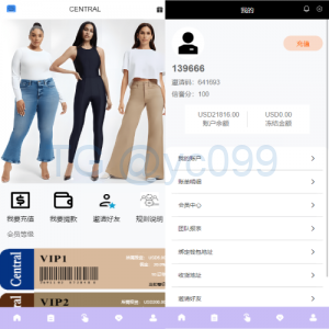 多语言海外抢单刷单系统/分组杀/打针做单/订单自动匹配系统