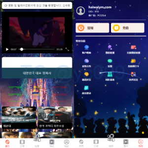 海外多语言电影抢单刷单系统/卡单/业务员/代理
