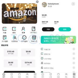 新版UI商城抢单刷单系统/叠加组/任务刷单