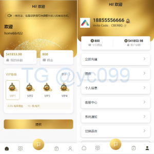新版多语言抢单刷单系统/连单刷单/海外抢单刷单
