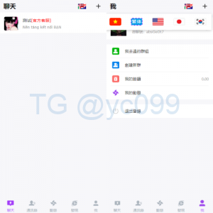 海外多语言H5聊天室/即时通讯/H5聊天室/在线聊天