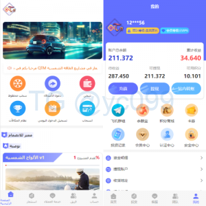 阿拉伯投资理财系统/海外投资众筹系统