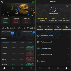 海外多语言微盘系统/外汇微交易/日本时间盘