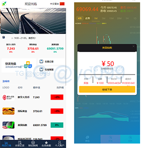 证券微交易系统/期货微盘/时间盘投资理财