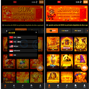 多语言娱乐城pg电子海外游戏