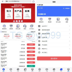 股票期货交易系统/股票外汇交易所