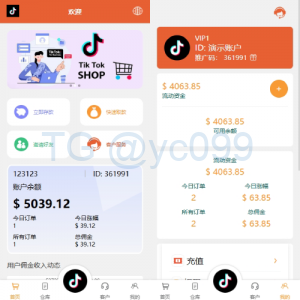 海外tiktok抢单刷单系统/多语言刷单打针