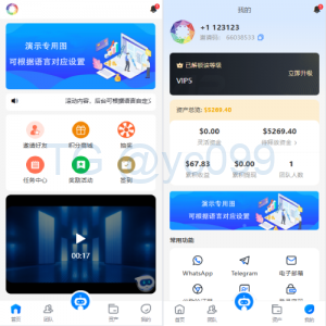 海外虚拟币量化交易系统/多语言量化/USDT自动充值