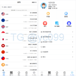 海外虚拟币外汇抢单刷单/货币兑换抢单系统