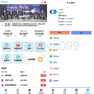 微交易系统/虚拟币黄金期货微盘/多语言秒合约微盘