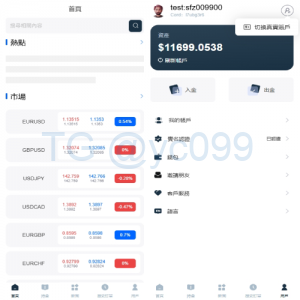 海外FX6系统/多语言外汇虚拟币合约交易/K线控制