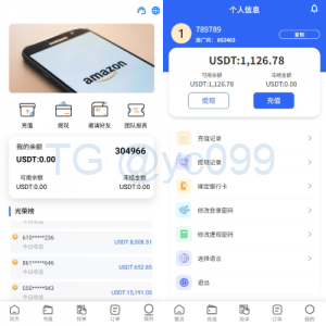 多语言亚马逊抢单刷单系统/叠加组刷单/海外抢单