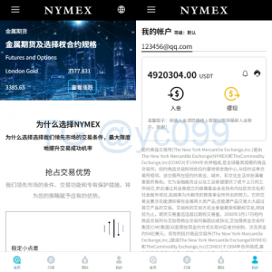 海外微交易系统/虚拟币外汇交易/PC微盘/多语言微盘