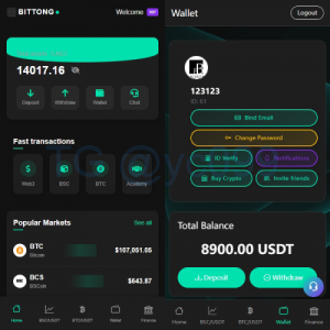 海外交易所系统/秒合约/杠杆交易/投资/K线控制