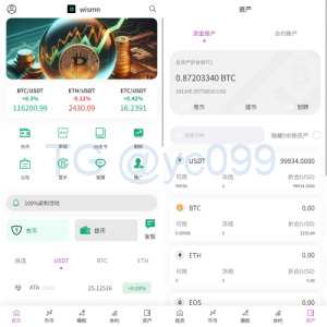 海外多语言交易所/合约/期权/秒合约/插针控制/申购