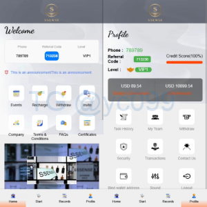 海外抢单刷单系统/幸运单/连单卡单/订单重置/订单评价