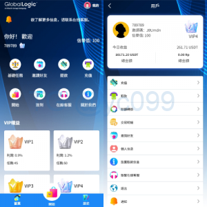 新版海外APP抢单刷单系统/连单卡单/签到/任务
