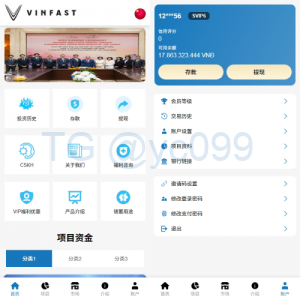 海外投资众筹系统/越南投资理财