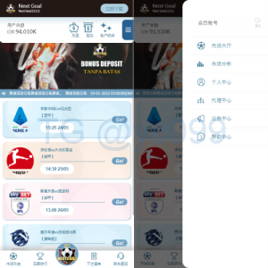 PC自适应反波胆系统/球盘/多级分销/充值返点